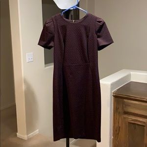 Calvin Klein dress. Great for work